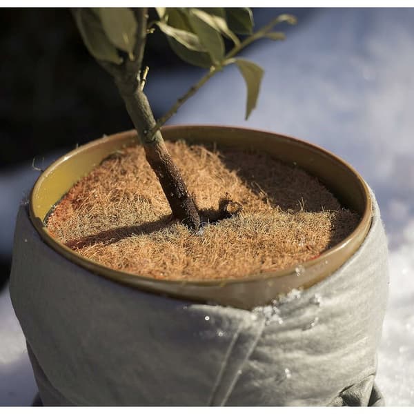 Kokosnøtt Mulching Disc Vinterbeskyttelse Plantebeskyttelse Antifrys