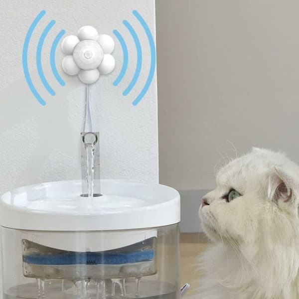 Bevegelsessensor Kattefontene Bryter Kattefontene Hund Vann Dispense