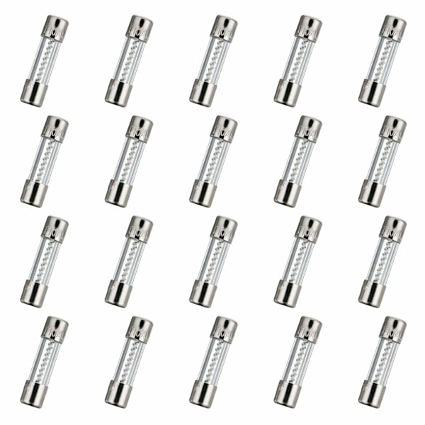 250V 20kpl 5x20mm Hidas Lasisulake 10A 250V 0,2 x 0,78 tuumaa Viivesulake