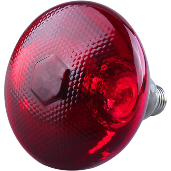 Tiput lämpölamppu 200w, tiput lämpölamppu, pentu kanaverkon lämpölamppu, infrapunalämpölamppu infrapunapuna lamppu