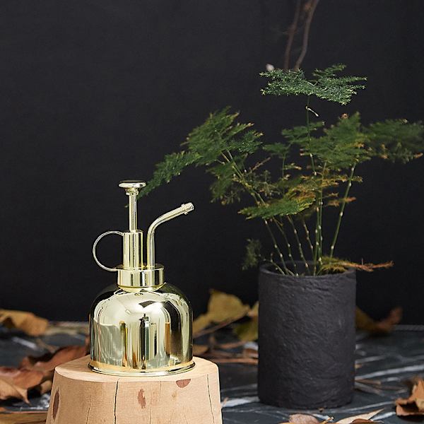 Messing Vandkande - Vintage Messing Vandkande En Hånd Indendørs Plante Vandkande til Haver, Planter, Rengøring (Guld)