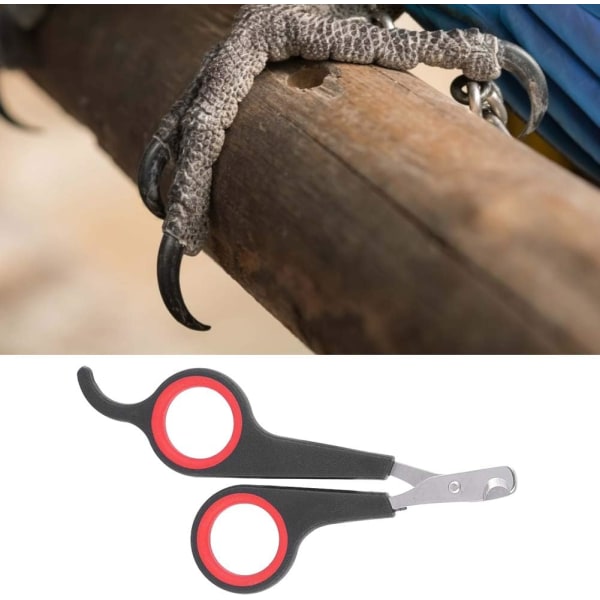 Solid rostfritt stål fågel nagelklippare, fågelbur väsentliga tillbehör