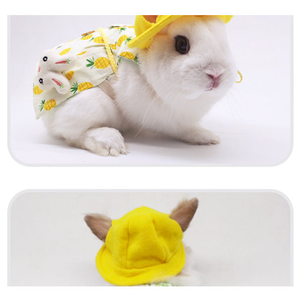 Kaninkläder Kanin Katt Lop Dekorationer Kanin Kostymer Fotografering Resor Guld Ananas Komplett Set (M)