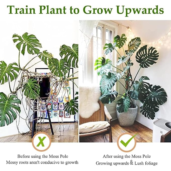 Stor 41,7\" Moss Pole för växter  3 17,7\" Stapelbar Monstera Plan