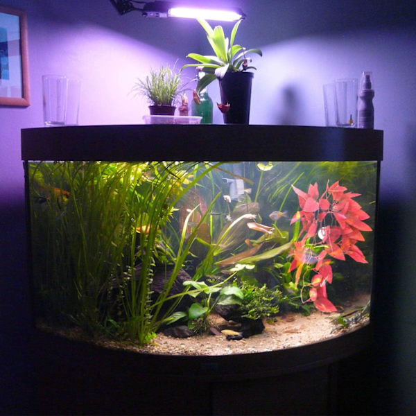 Akvarie Kunstig Plante Falske Akvatiske Planter Sugkopp Rattan