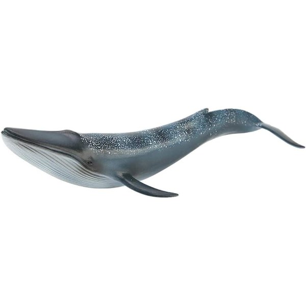 Hval Model Legetøj Simulation Legetøjssamling Miniature Hval Figur