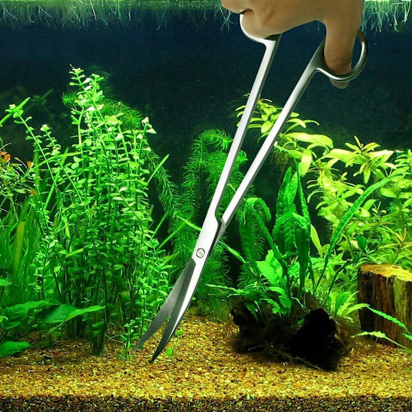Akvarieudstyr i rustfrit stål til vandplanter