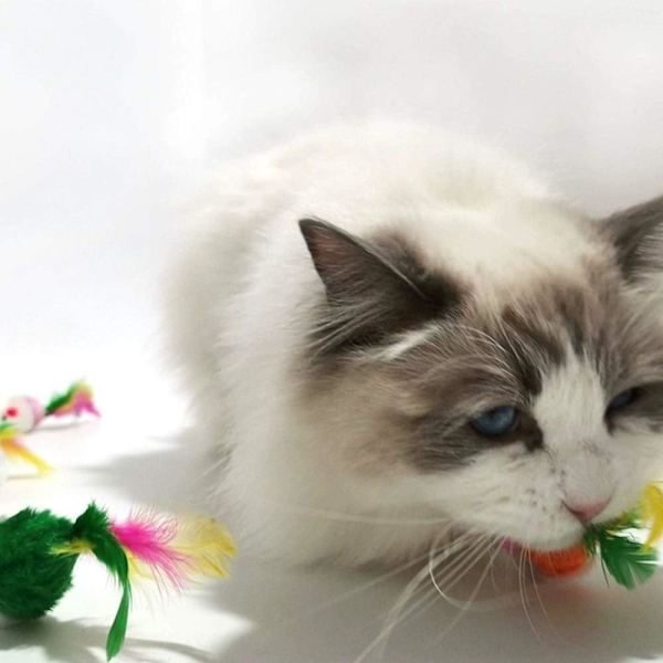 12 stycken kattleksaksmöss kattleksaksmöss kattungemöss skallerfångare