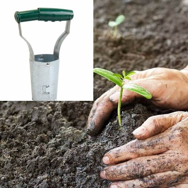 Rustfrit løgplanter Håndholdt løgplanter med fjederhåndtag og dybdeskala Have løg Havearbejde værktøj