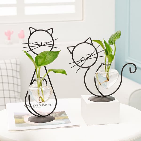 Glaskat med hjerteformet vase, planteterrarium,