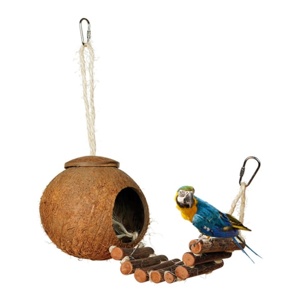 Luonnollinen kookospähkinän piilopaikka tikkailla, lintuleluilla ja Critters Bird