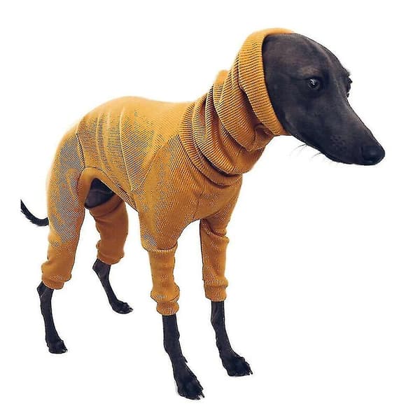 Husdjurskläder Jumper Valp Hund Greyhound Vintertröja Kläder