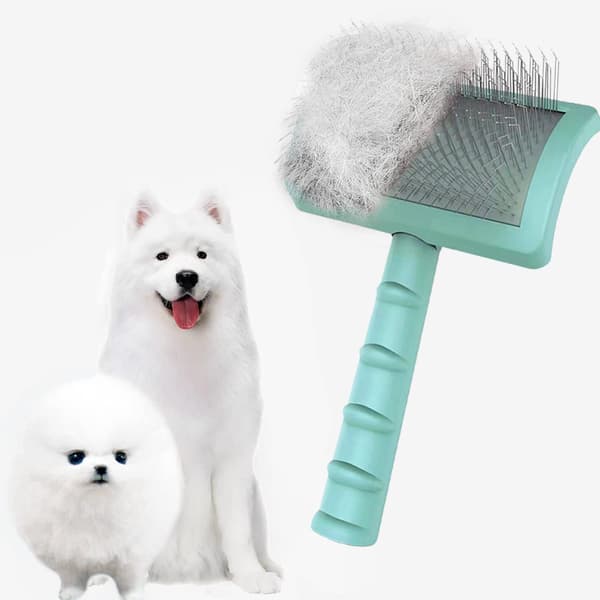 Stor fast borste för hundar Goldendoodles - Extra långa stift