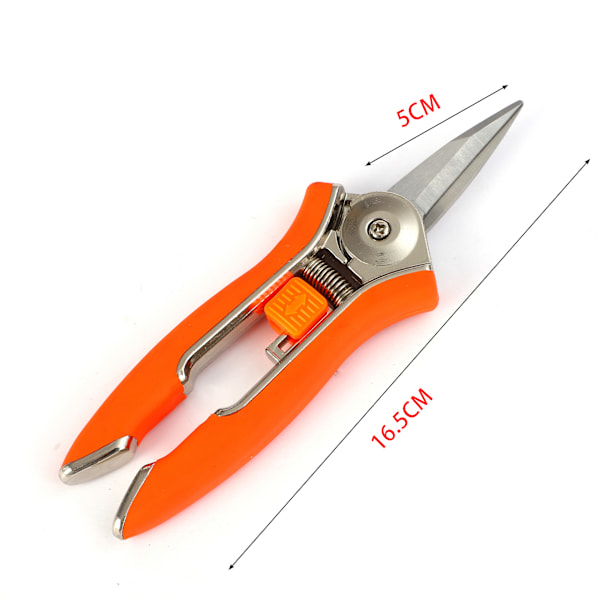 Orkidésax, 15 - 5 cm