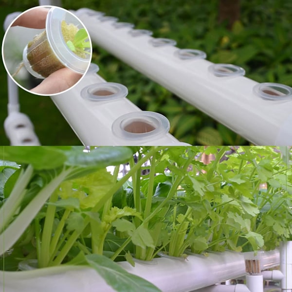 20 Stycken Hydroponisk Växtkorg, Hydroponisk Blomkruka, Hydroponisk Trädgårdsnätkruka, Lämplig för Hydroponisk Odling och Jordlös Odling på