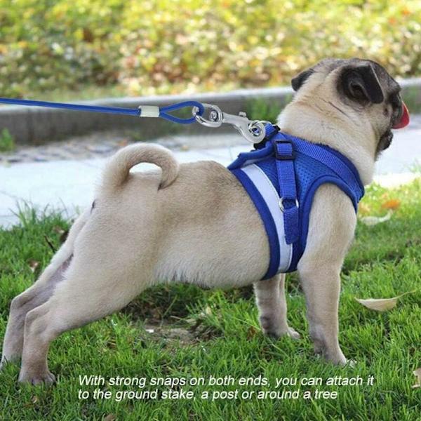 Leash Rope Heavy Duty Bite Resistant Long Steel Wire Pet Safety C
