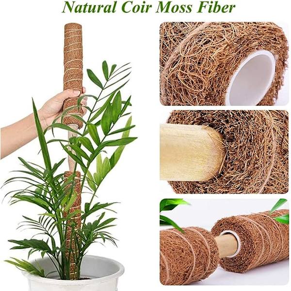 Stor 41,7\" Moss Pole för växter  3 17,7\" Stapelbar Monstera Plan
