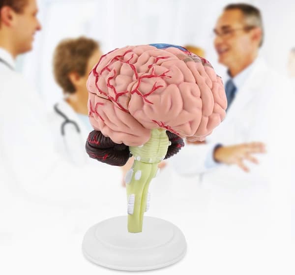 Inomhusmöbler > Dekoration > Dekorationsföremål > Staty och