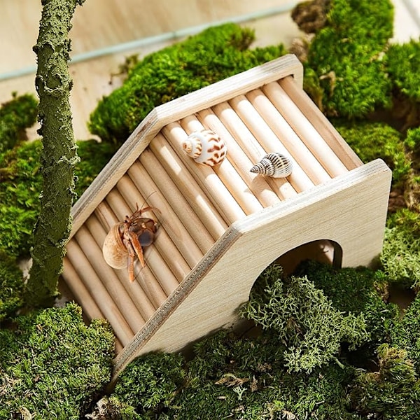 Hermit Crab Climibing Toys Trä Hermit Crab Hideout Hermit Crab