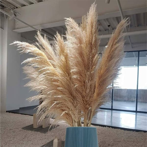 Store vaser moderne stue dekorasjon pampas gress bordpynt