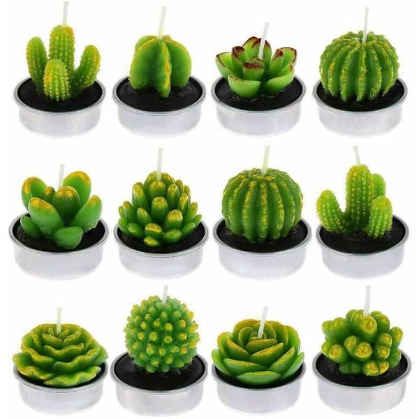 Ljus 6 st Kaktusljus, Handgjorda Succulent Kaktus Tealight Ljus för Spa Hemfest Bröllopsdekoration Gåvor