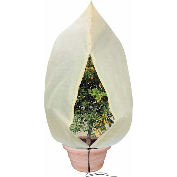 Plantebeskyttelseshetter, vinterbeskyttelse for plante