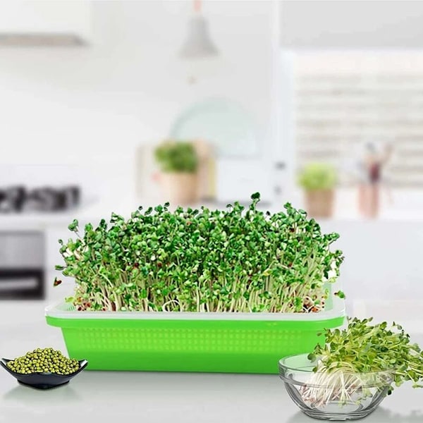 Fröodlingsbricka Groddbricka Grön Groddbricka Växthus Startbricka Groddbricka för Hydroponics, Groddning, Hemträdgård, 1