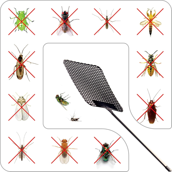 Teleskopisk Flugsmälla - Flugsmälla för Inomhusbruk, Kraftig Manuell Flugsmälla i Plast med Teleskopstång i Rostfritt Stål (3-pack)