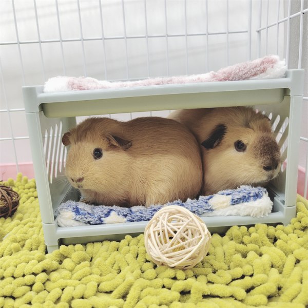 Våningssäng för marsvin, gömställe för marsvin, leksak för hamstervarelse