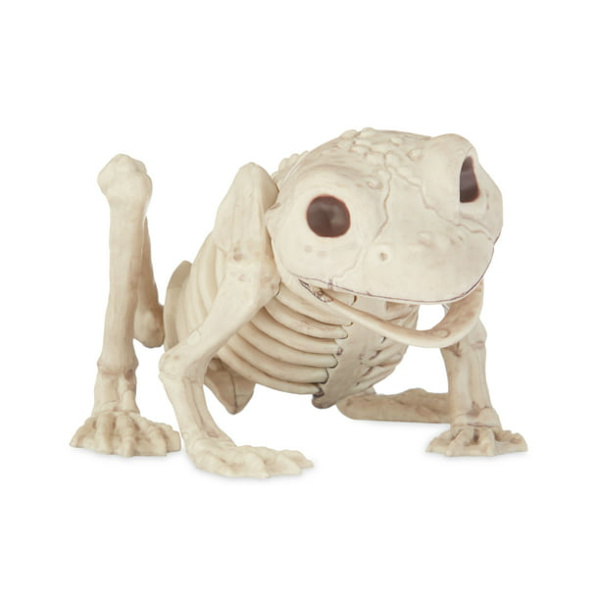 Froskeskjelett Halloween-dekorasjon
