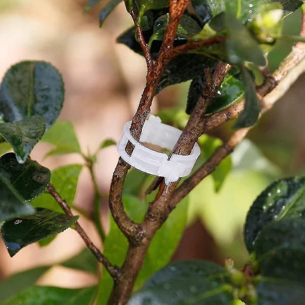 100 stk Planteclips Blomsterklips Ideelt for å feste planter til planter