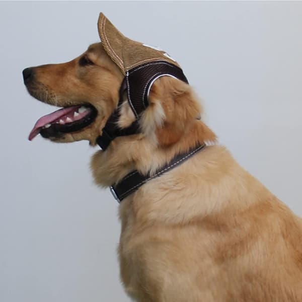 Hundvisir Baseballkeps Justerbar Baseball Hundhatt med Öronhål
