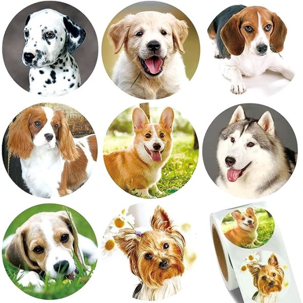 1,5" Hundeklistermærker til børnelærere, 500 stk. Hundehvalpeklistermærker til småbørn Bir