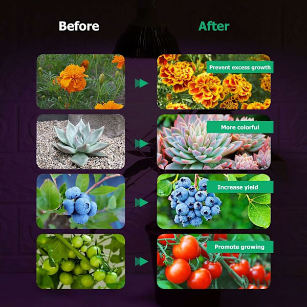 Full Spectrum Horticultural Lamp Indoor Plant Growth Lamp For Ind