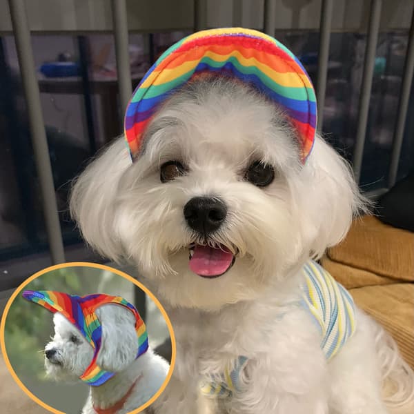 Hundehatt og solbriller Sommer Hund Baseball Cap Pet Valp Visor Ha