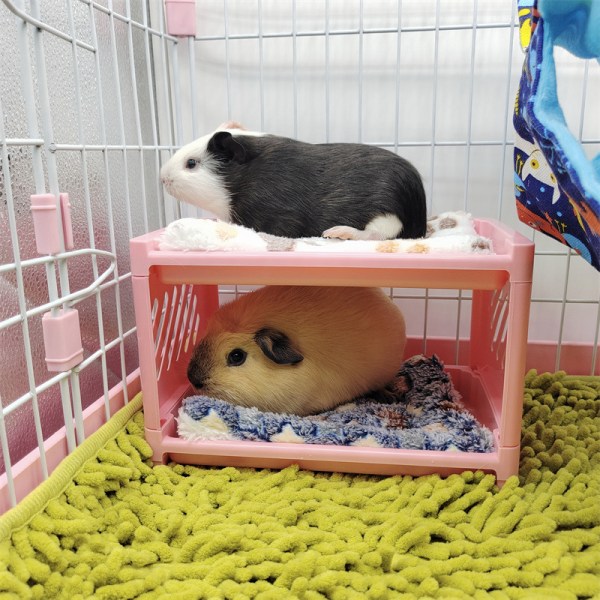 Våningssäng för marsvin, gömställe för marsvin, leksak för hamstervarelse