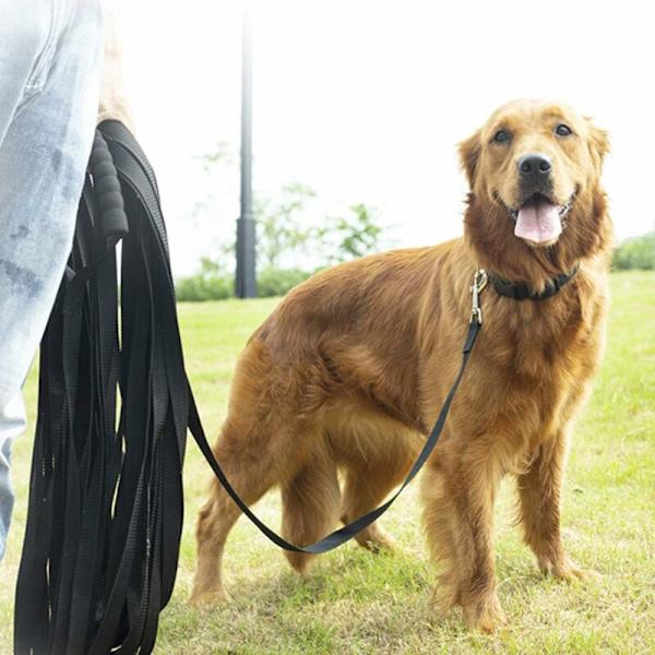 Hundetreningsbånd - 10 m langt - Nylon - for store hunder - med komfortabelt polstret håndtak - for kjæledyrsporing, camping, lek og hagearbeid (10 m)