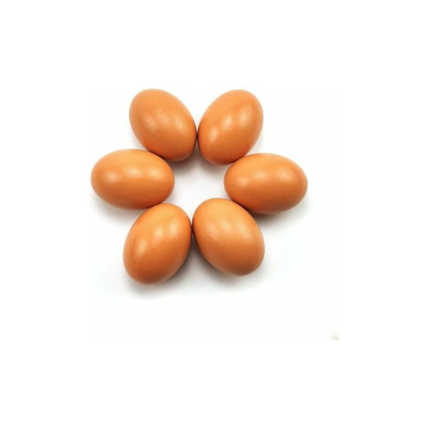 Set med 6 falska hönsägg i trä, hjälper värphöns, gårdsbruk