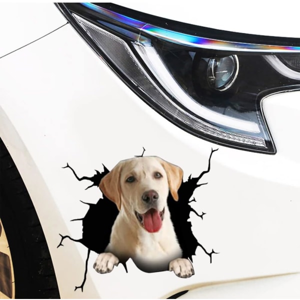 1pcs 3D Dogs Stickers, Funny Crack Dogs Vinyl Car Sticker, Car Wi