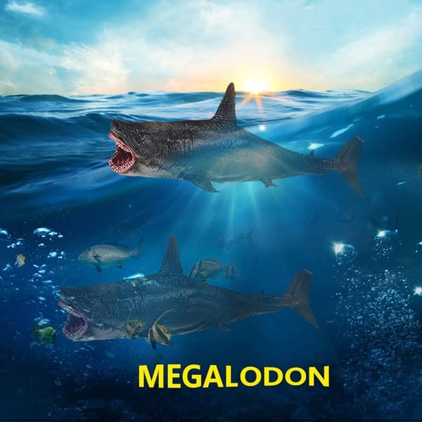 Hajmodel Legetøj Simulation Megalodon Miniature Dyr Legetøj Samling