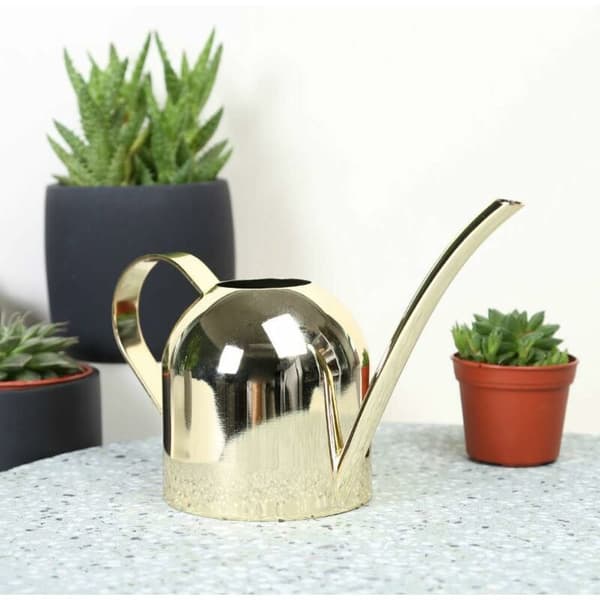 Moderne rustfritt stål vanningskanne for innendørs planter