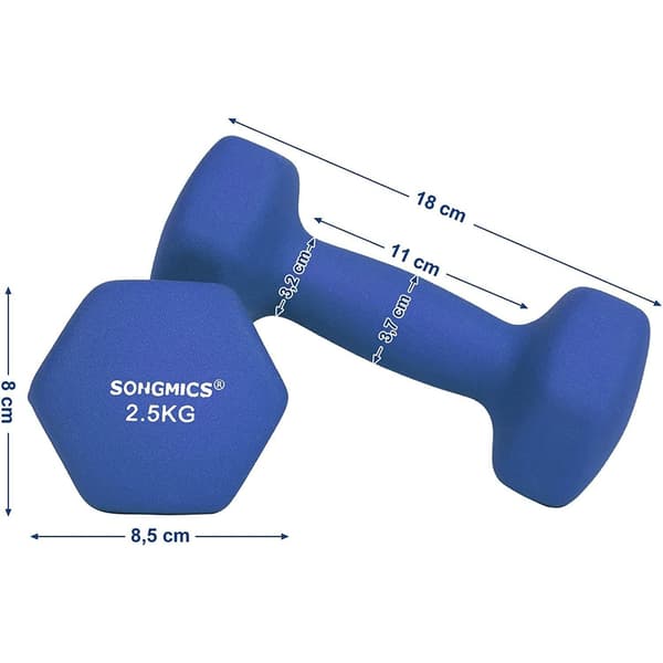 Set med hantlar - 2,5 kg per hantel - blå vikter - 2 stycken