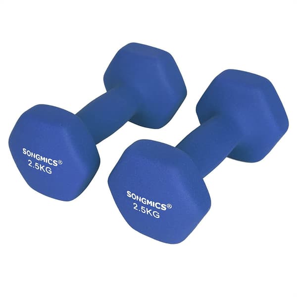 Set med hantlar - 2,5 kg per hantel - blå vikter - 2 stycken