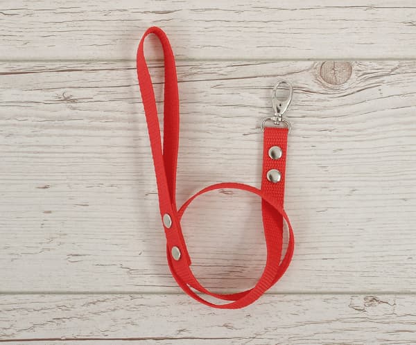 Rött rep för Hobbypaard - Leiband - Robust Webbing Band, med Carabiner Hook