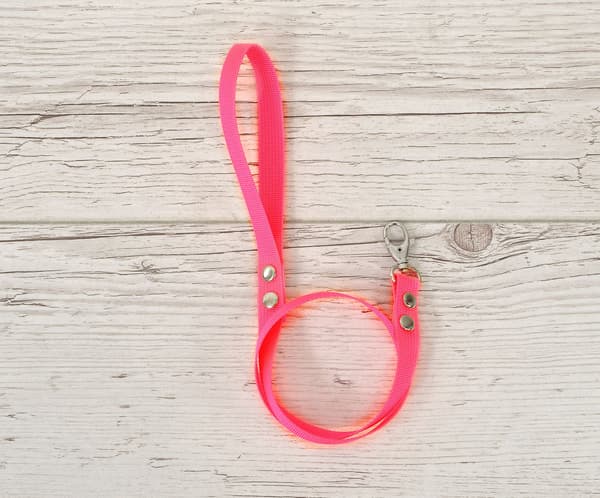 Neonrosa tether, hästlinje, robust webbing - lätt att fästa, hållbar och smutsavvisande
