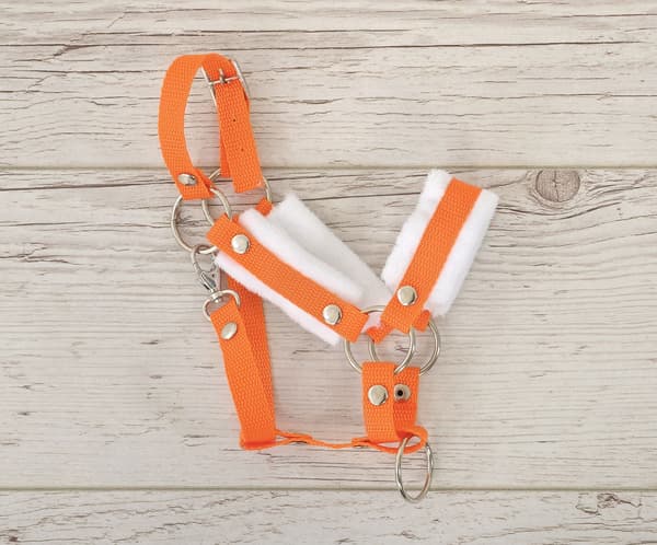 Justerbar Halster - Horse Hall - Extra komfortpälsfoder, orange/vit, storlek A3