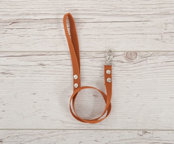 Tether for Hobby Horse - Leiband - Hållbar och robust webbband, enkel bekräftelse