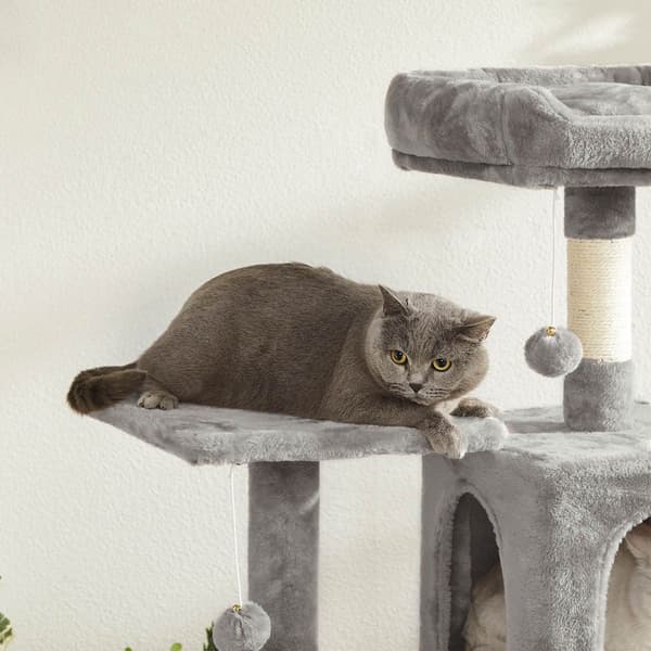Kattskrapstolpe med hängmatta, hög skrapstolpe, modern, grå