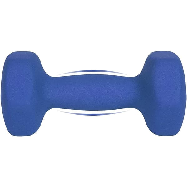 Set med hantlar - 2,5 kg per hantel - blå vikter - 2 stycken