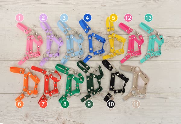Justerbar grimma - hästhall - perfekt passform, hållbar nylon, blå, storlek A3